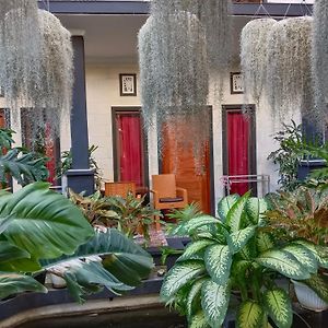 Double N Guesthouse Sanur Bali